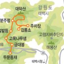 태백농원 티스토리