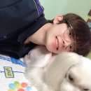 깡미네