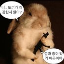 쟁이맘쓰 | [블챌] 16ㅣ족발을 기다리며 쓰는 일기