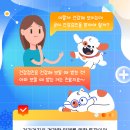 덕계 원 동물병원 이미지