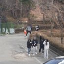 아이나인 클리닉 기숙학원 네이버블로그