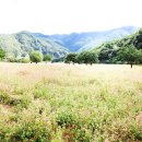 삼옥2리마을회관 이미지