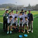 양구초 ‘전국 스포츠클럽 축전’ 플라잉디스크 동메달 이미지