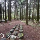 붉은오름자연휴양림 이미지