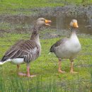 우림부동산중개 이미지