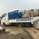 선우유통 이미지