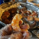 벌떡새우 이미지