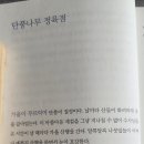 단풍나무정육점
