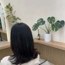 율하6로L | 장유 율하 2지구 미용실 그리밍헤어 김해율하미용실 봄맞이 헤어추천 미디움레이어드 씨컬펌 김해장유...