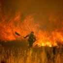 my drink museum 이미지