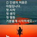 ♤루즈벨트 대통령 손해배상 청구소송 일화!♧ 이미지