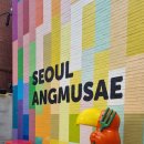 두시의앵무새