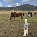 서화구이 | 세돌 아기와 구마모토 : 료칸 코우노유, 파티세리로쿠, 아소산 맛집, 나카다케 화구, 쿠사센리