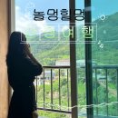 지리산건강마을 | 산청 황토 펜션 황토치유마을 지리산 계곡 뷰 내돈내산 후기