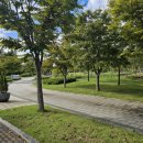 청라 노을공원 스케이트플라자 이미지