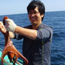 평창낚시 이미지