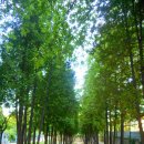 부평공원 이미지