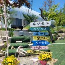 송림쉼터 | (여행) 전북 부안군 변산반도 커플 여행 #1 (나린뜰, 잼버리경관쉼터, 변산물회해물국밥 로컬 맛집)