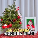 원데이 | 김포 고촌 꽃집 열세달꽃, 크리스마스 트리 원데이클래스 후기