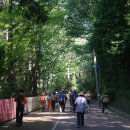 수원지민박 이미지