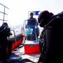 품다 하나 이미지