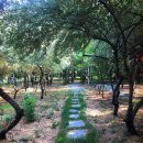 라온혜윰힐링센터 이미지