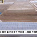 G1135 이미지