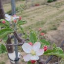 민혁농장 이미지