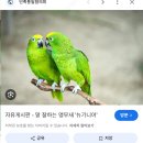 아름-답다 | 신혼여행기(피렌체)