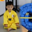 이안 태권도장 이미지