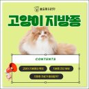 인동동물병원