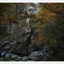 쉰 한살에 쓰는 가을 편지 이미지