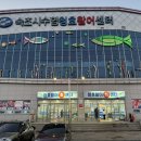 속초 해수욕장 근처 횟집 청호활어회센터 나룻배 12호 회포장