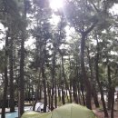 7. 제주도(캠핑의 천국) -자전거캠핑 전국일주 후기