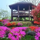 송우펜션 이미지