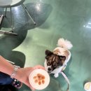 커피살롱 이미지