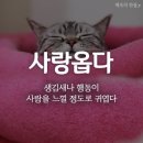 깜냥깜냥 Daum카페