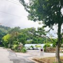 본갸또 | [판교카페] 성남 금토동 단풍 디저트카페 메이플크림라떼 쑥인절미갸또 후기