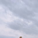 월송리CC클럽하우스사우나 이미지