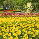 용비쉼터 이미지