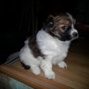 산성골식당 이미지