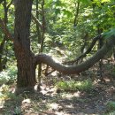 대현목장 이미지