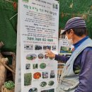 기숙농장 이미지