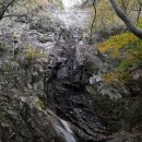 도덕1리 이미지