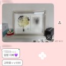 티니안플라워 - 서구 대덕대로 195 | 티니안플라워 [부케 말리기] 내돈내산｜부케 액자 제작 후기