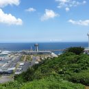 제주 하연 이미지