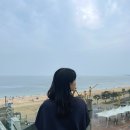 해브잇