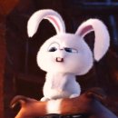 올리브헤어 이미지