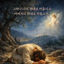 원대로 네이버블로그