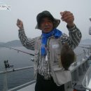 영일1호 네이버블로그